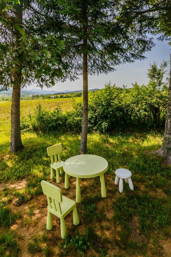 Beautiful Cottage With Heated Pool For 22 Ppl Plaški Esterno foto