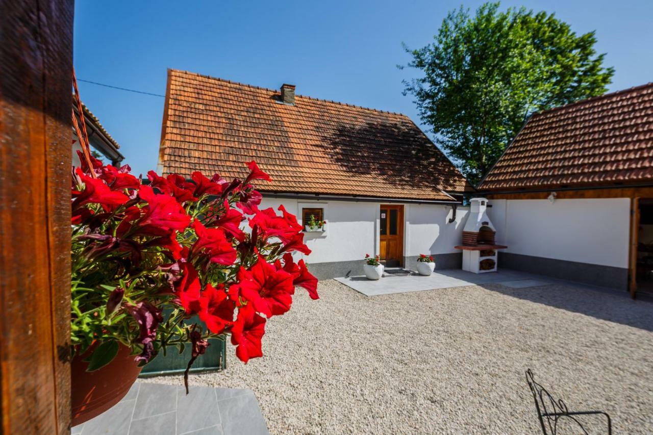Beautiful Cottage With Heated Pool For 22 Ppl Plaški Esterno foto